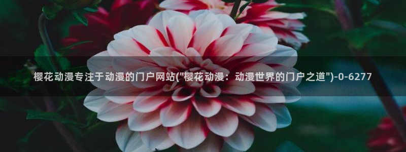 樱花动漫风车动漫