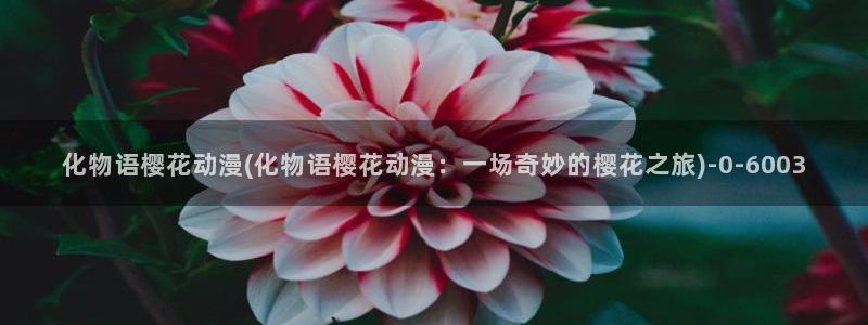 樱花动漫软件