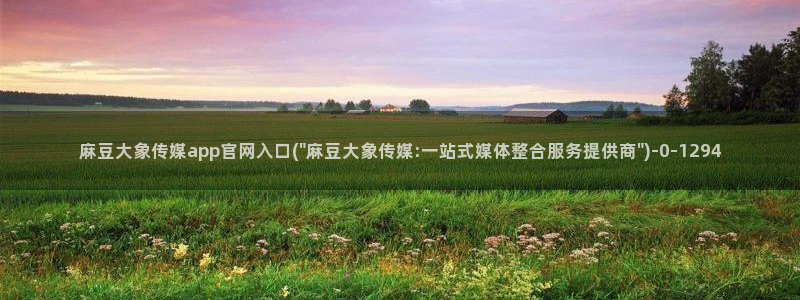 麻豆视传媒短网站官网：麻豆大象传媒app官网入口(\