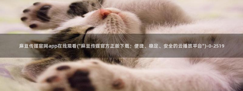 麻豆印象传媒官网：麻豆传媒官网app在线观看(\