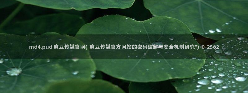 麻豆视传媒网站官网：md4.pud 麻豆传媒官网(\