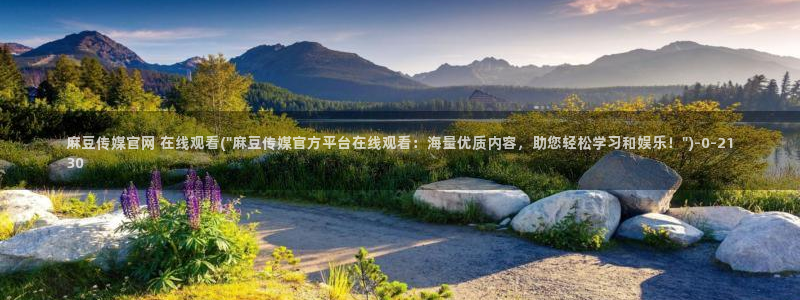 麻豆传媒官网首：麻豆传媒官网 在线观看(\