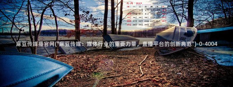 麻豆 传媒 官网推荐：麻豆传媒播官网(\