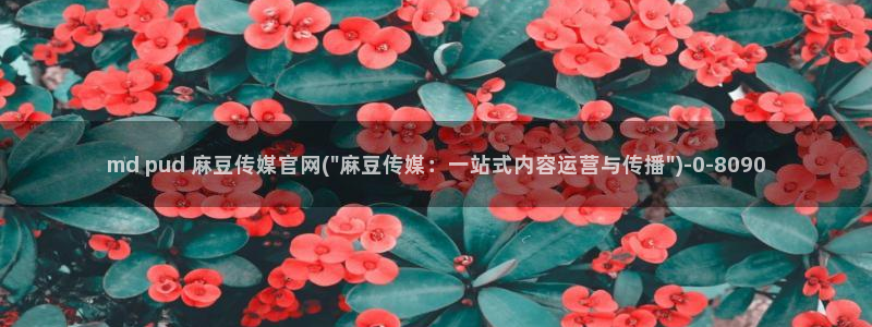麻豆啊传媒官网：md pud 麻豆传媒官网(\