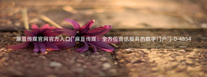 麻豆村传媒官网：麻豆传媒官网官方入口(\