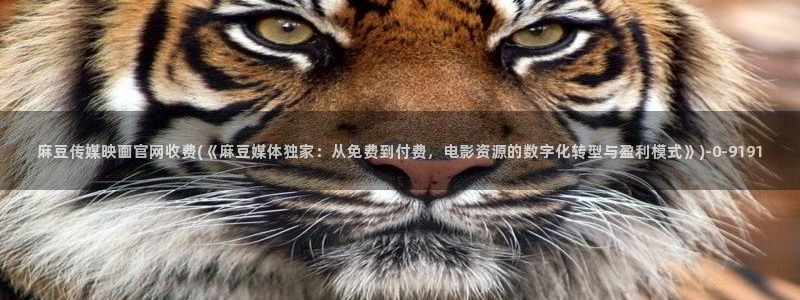 麻豆传媒app官网黄：麻豆传媒映画官网收费(《麻豆媒体独家：从免费到付费，电影资源的数字化转型与盈利模式》)