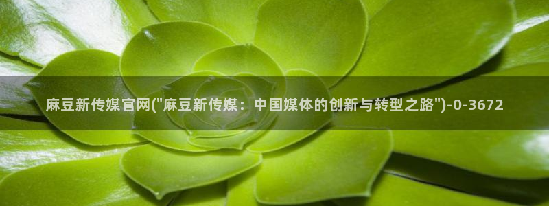 麻豆传媒官网王然：麻豆新传媒官网(\