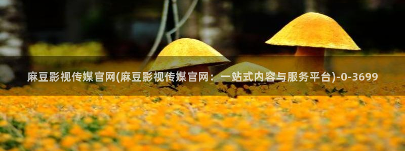 麻豆映传媒官网A：麻豆影视传媒官网(麻豆影视传媒官网：一站式内容与服务平台)