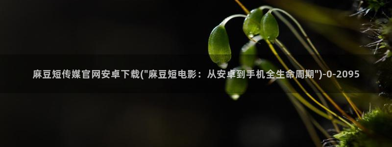 麻豆国产传媒官网：麻豆短传媒官网安卓下载(\
