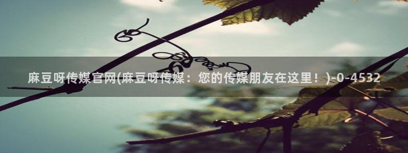 麻豆传媒av官网：麻豆呀传媒官网(麻豆呀传媒：您的传媒朋友在这里！)
