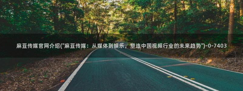 麻豆传媒官网综合