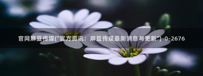 麻豆传媒官网app下载安装：官网麻豆传媒(\
