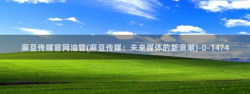 mdpub麻豆传媒官网演员：麻豆传媒官网油管(麻豆传媒：未来媒体的新浪潮)