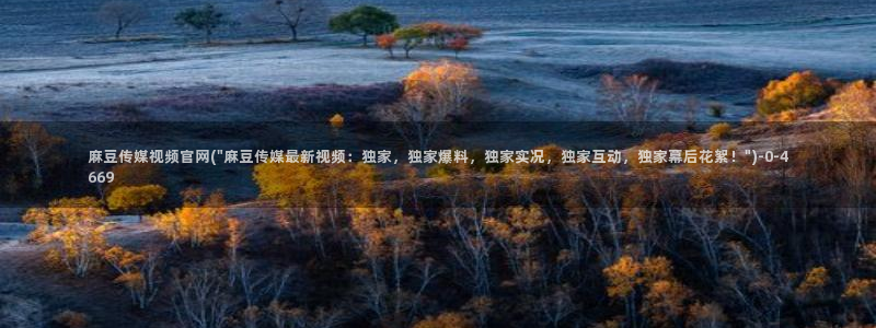 麻豆视频传媒官网：麻豆传媒视频官网(\