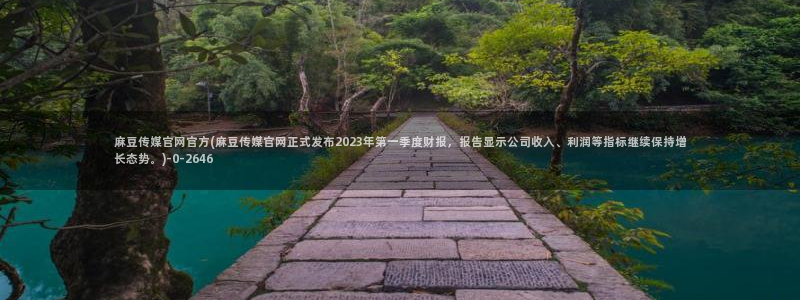麻豆印象传媒app官网：麻豆传媒官网官方(麻豆传媒官网正式发布2023年第一季度财报，报告显示公司收入、利润等指标继续保