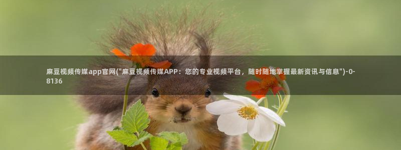 麻豆传媒官网app入口：麻豆视频传媒app官网(\