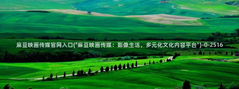 麻豆传媒直播官网可可：麻豆映画传媒官网入口(\