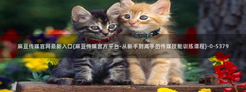 麻豆传媒官网花絮：麻豆传媒官网最新入口(麻豆传媒官方平台-从新手到高手的传媒技能训练课程)