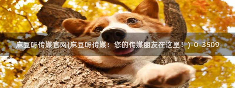 麻麻豆传媒官网：麻豆呀传媒官网(麻豆呀传媒：您的传媒朋友在这里！)