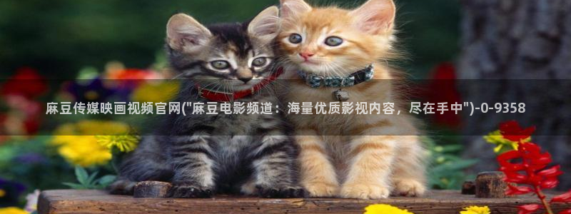 麻豆传媒官网打不开：麻豆传媒映画视频官网(\