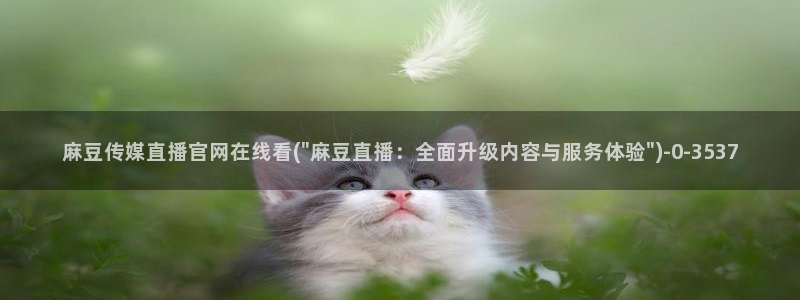 麻豆传媒传播官网：麻豆传媒直播官网在线看(\