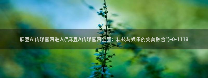 麻豆传媒下载官网ios：麻豆A 传媒官网进入(\