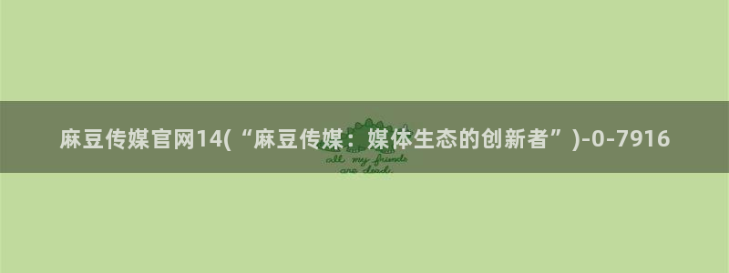 麻豆传媒 官网